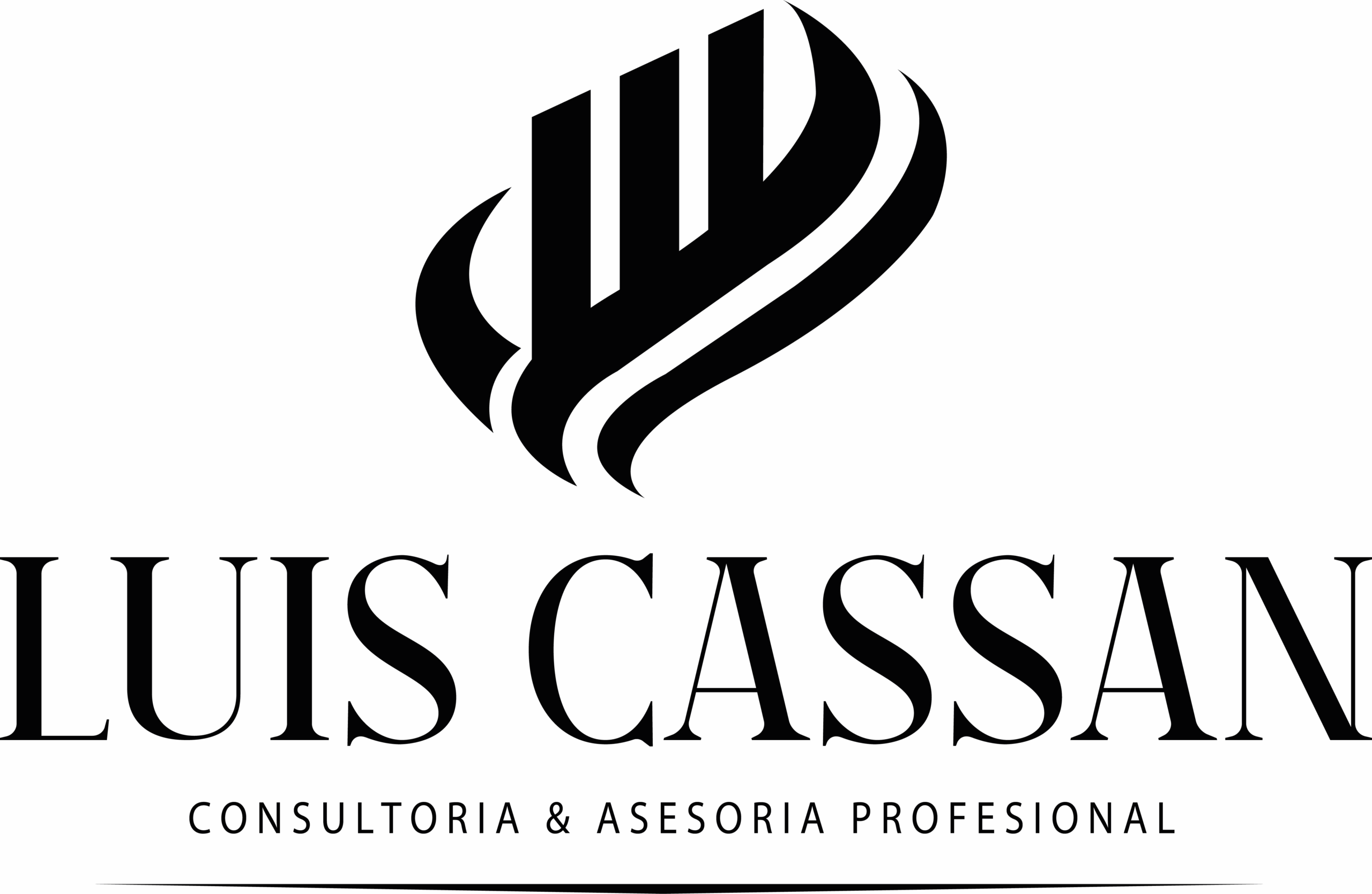 Luis Cassan Consultoría y Asesoría Profesional
